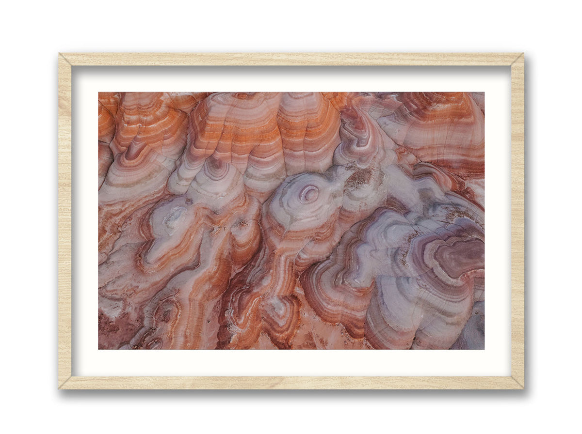 A New Perspective Driftward