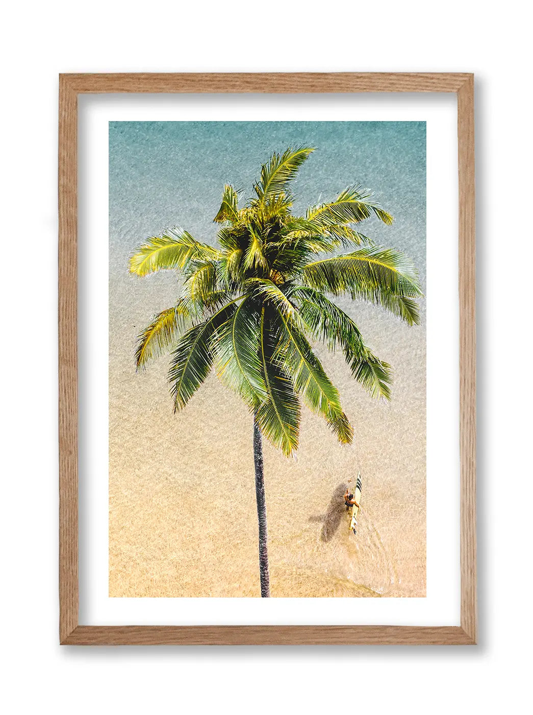 Sideways Palm Tree