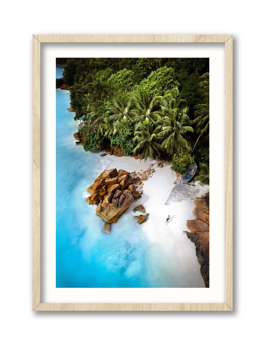 Praslin Island Driftward