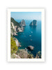Timeless Capri